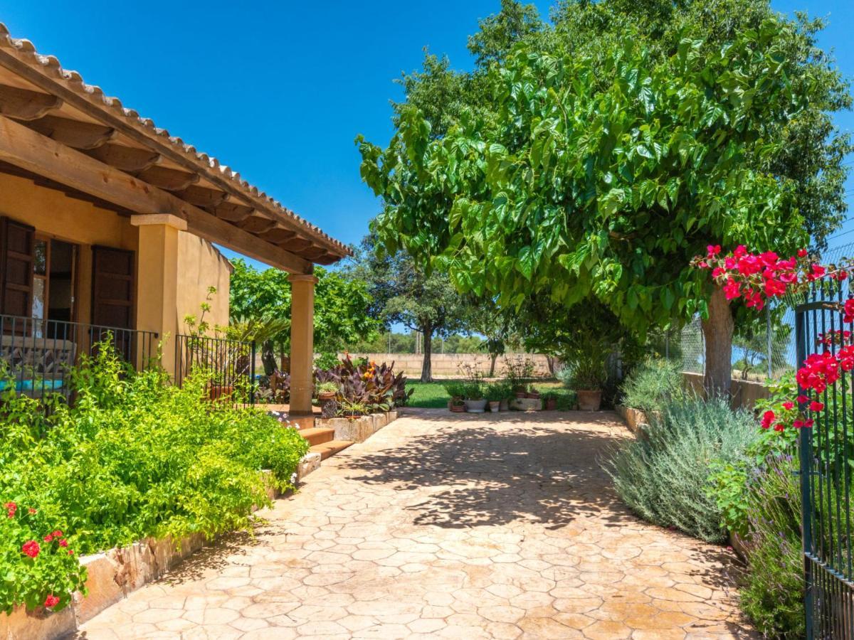 Es Coscolls - Pic300 By Interhome